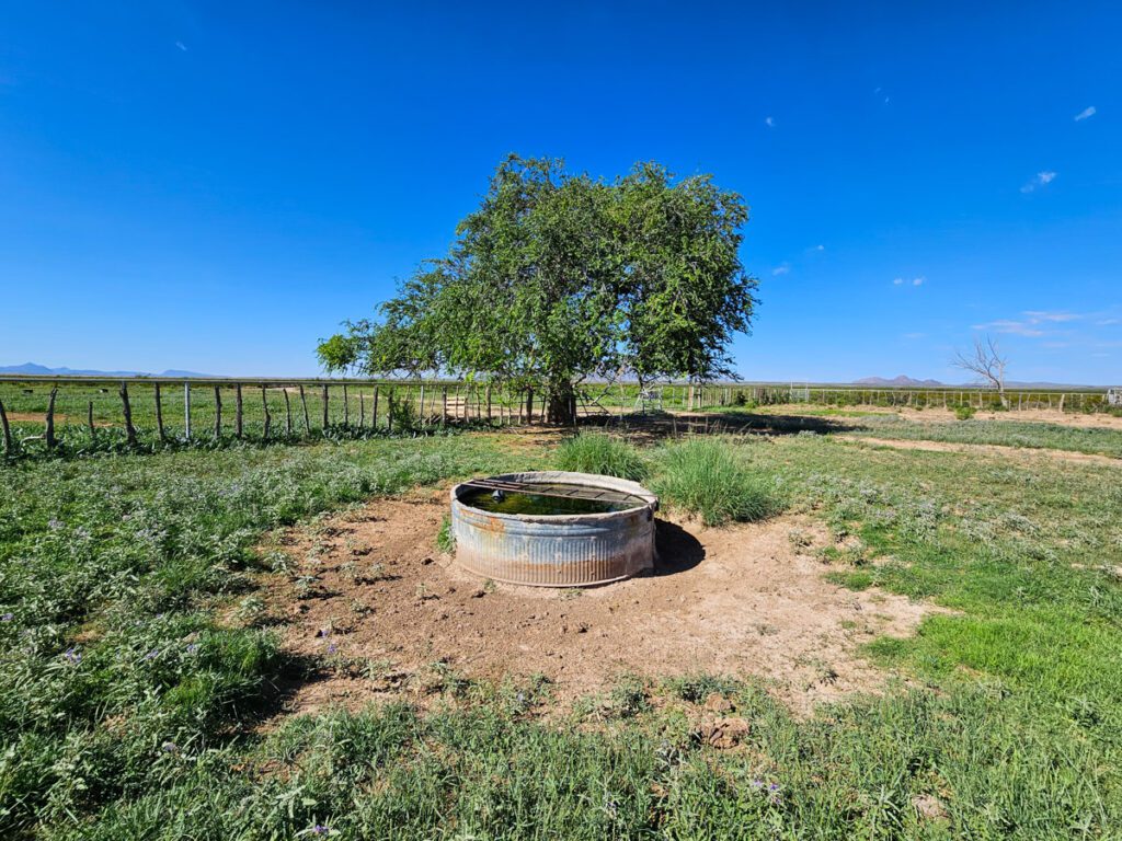 Historic Griffin Ranch and Homestead Beaverhead Ranch Group