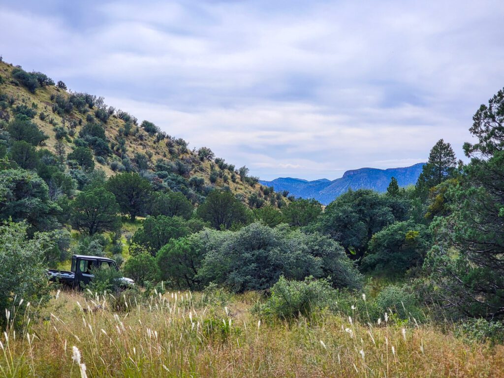 Quail Creek Ranch Beaverhead Ranch Group
