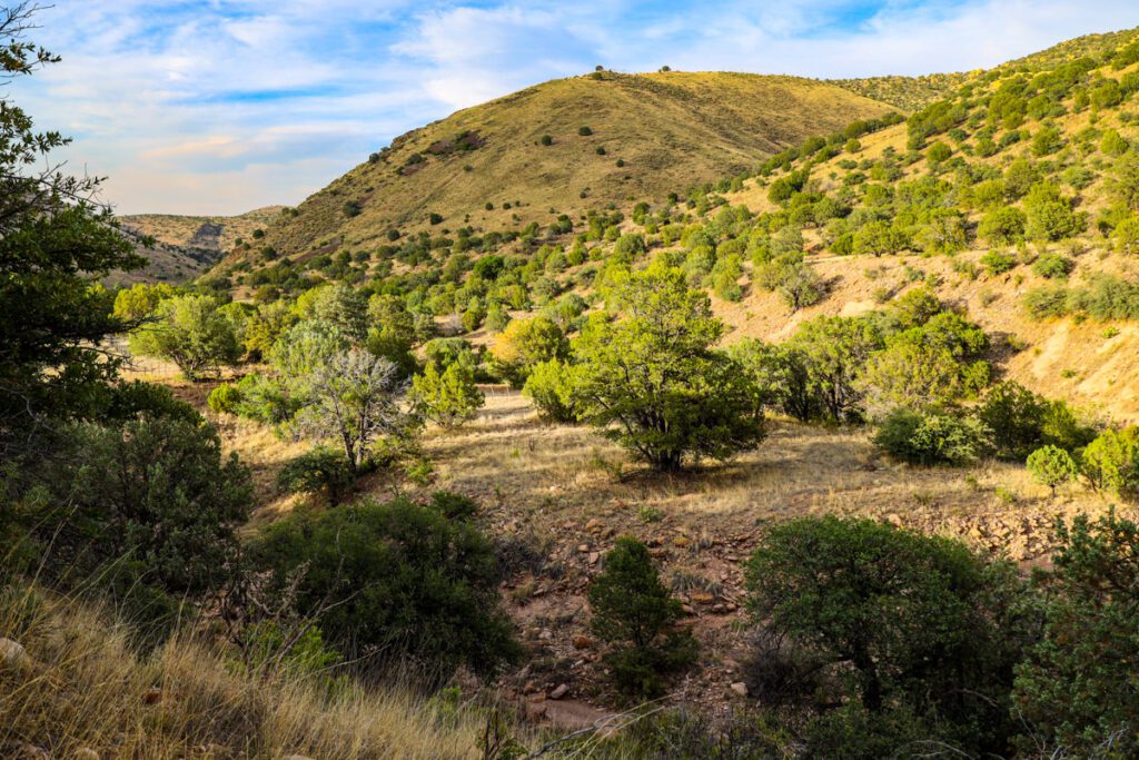 Quail Creek Ranch Beaverhead Ranch Group