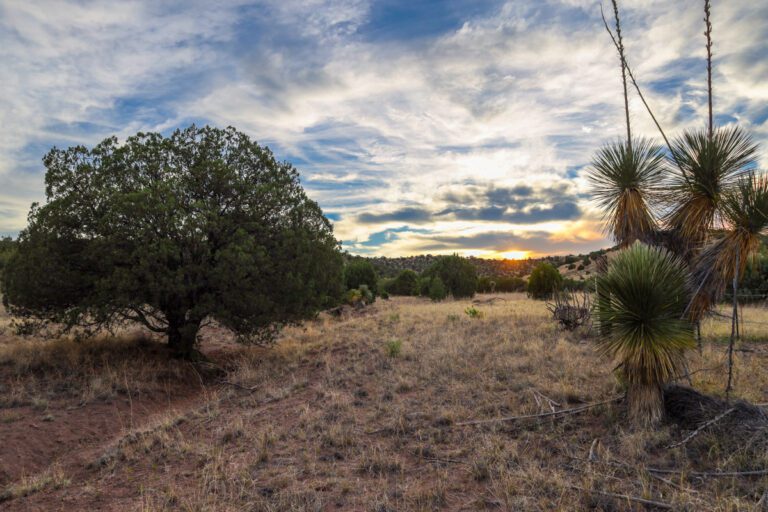 Quail Creek Ranch Beaverhead Ranch Group
